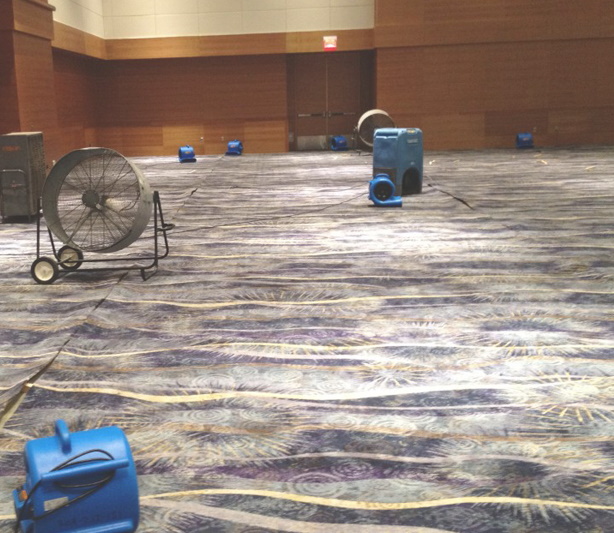 Commercial Carpet Drying Brisbane Dry Wet Carpet Fast